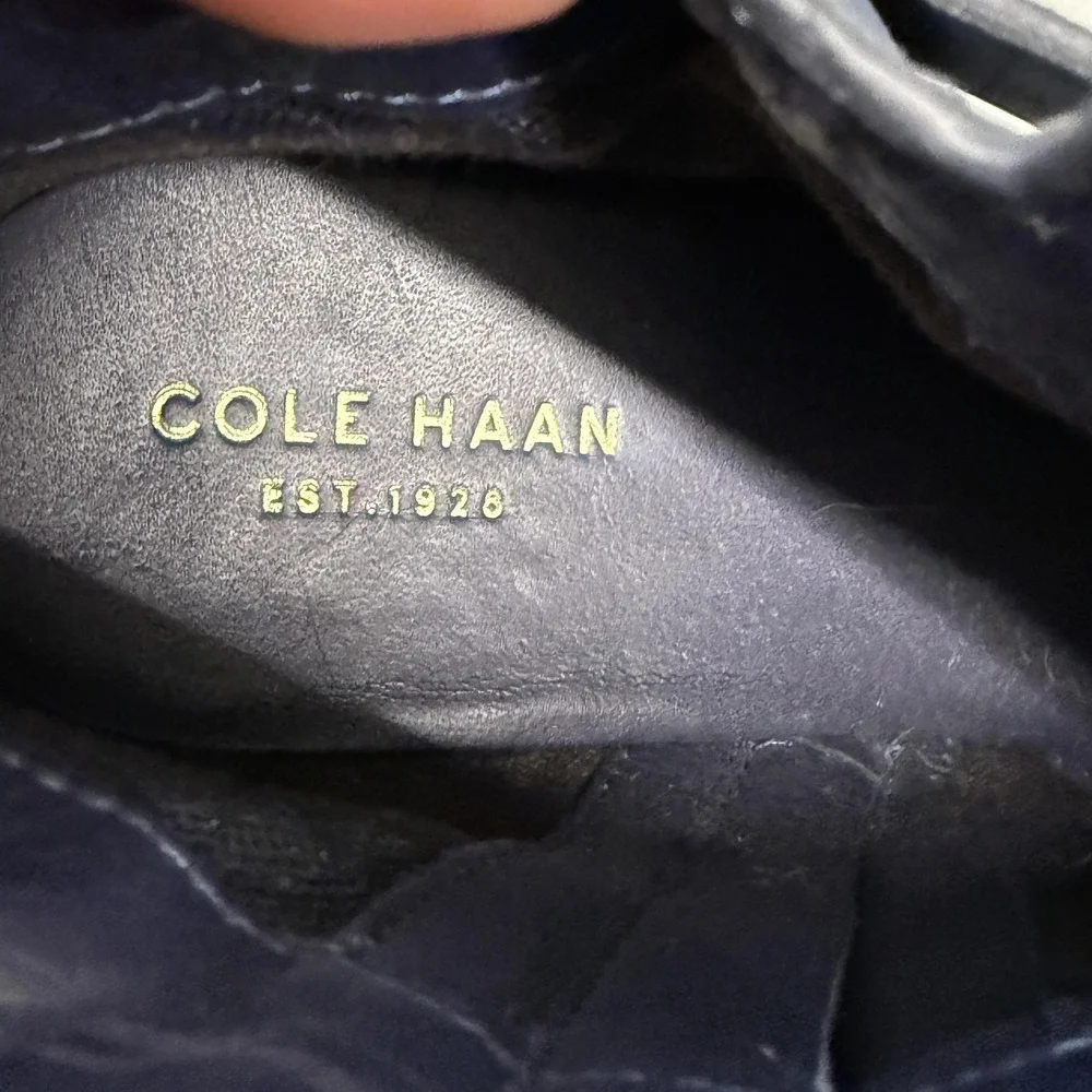 Cole Haan Boots Womens Size 6.5 Gray Suede Ankle Buckle Block Heel Grand.OS